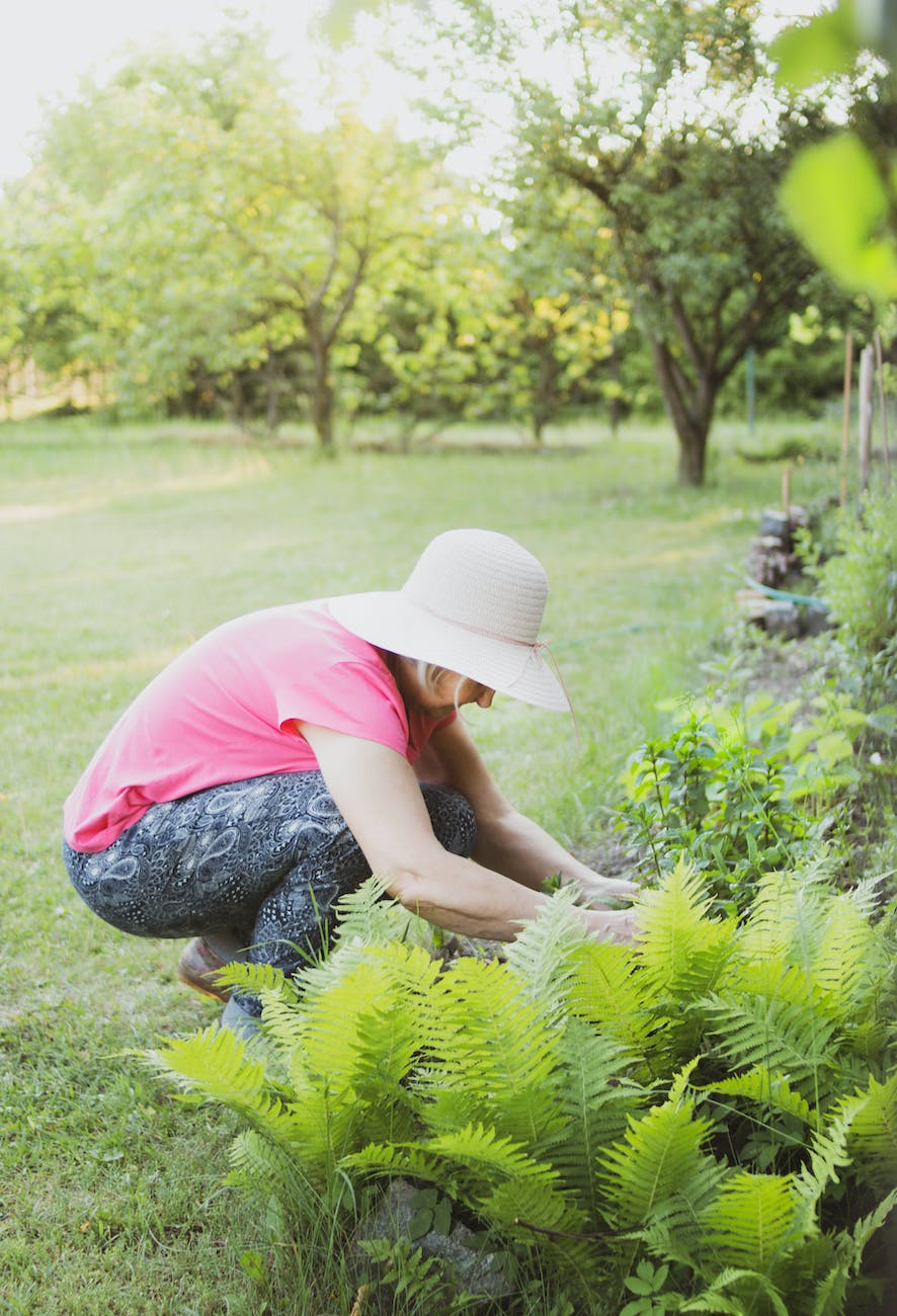An photo of someone gardening.